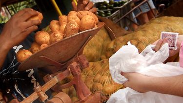 La llegada de la papa a varios mercados agrícolas de La Habana provocó reyertas que recordaron el desespero de los años más difíciles del Período Especial.