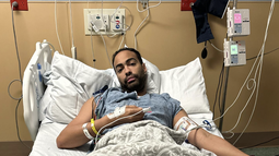 pollito tropical ingresado hace una semana en un hospital de miami