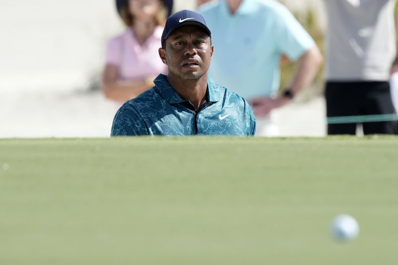 Tiger Woods observa su disparo desde el lado de un búnker verde durante la segunda ronda del Hero World Challenge PGA Tour en el Albany Golf Club, en Nueva Providencia, Bahamas, el viernes 1 de diciembre de 2023. (AP Foto/Fernando Llano)