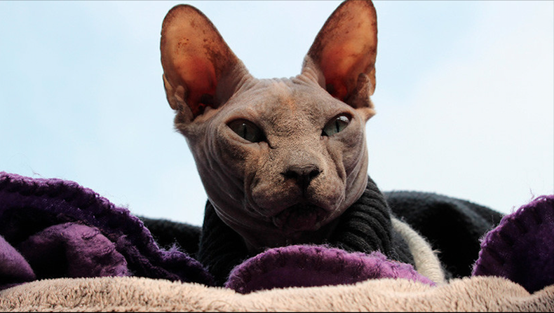 Screen Shot 2018-03-08 at 10.30.12 AM.png