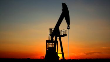 el petroleo abrio a su nivel mas bajo desde marzo de 2009