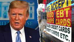 trump culpa a los democratas por el retraso en los cupones de alimentos y ordena buscar una via legal para financiarlos