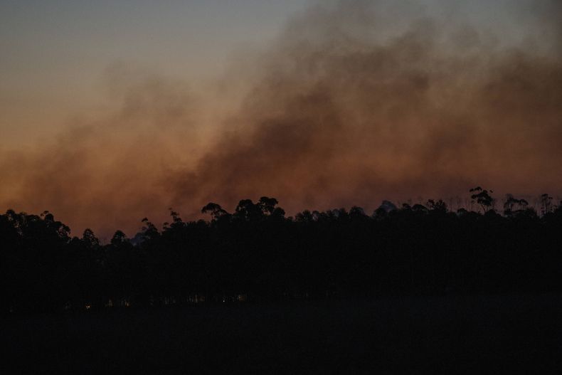 AMS-GEN ARGENTINA-INCENDIOS