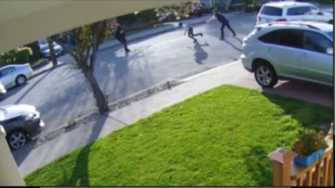 Adolescente armando con una pistola chilla de dolor después que el hombre que le intento robar su carro lo estrellara contra el piso