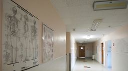 ARCHIVO - Diagramas médicos en el pasillo de una de las salas de un hospital de Mississippi, el 29 de febrero de 2024. (AP Foto/Rogelio V. Solis, Archivo)