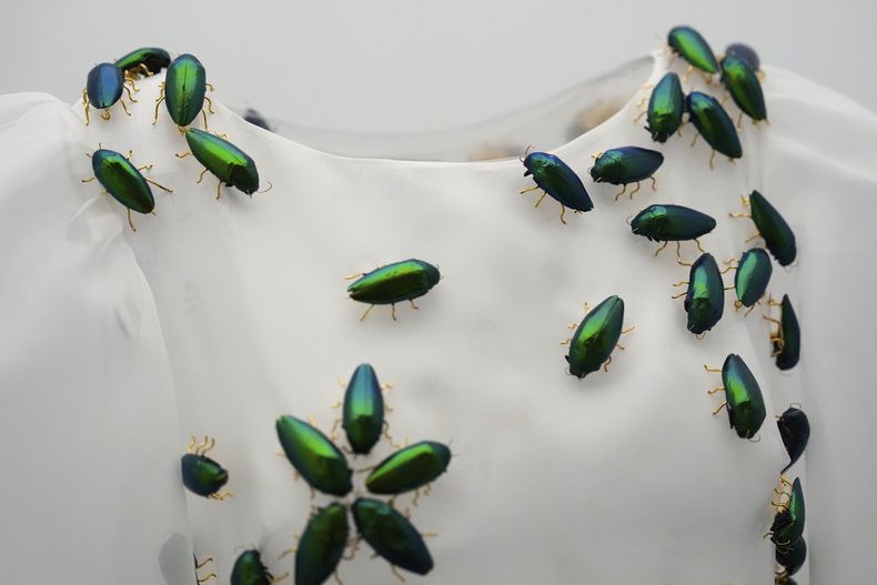 Una pieza de la exposición Sleeping Beauties: Reawakening Fashion inaugurada en la gala del Instituto del Vestido del Museo Metropolitano de Arte el sábado 4 de mayo de 2024, en Nueva York. (Foto AP/Julia Nikhinson)