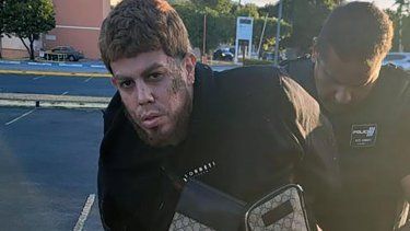 La Policía arresta a individuos que dispararon contra agentes en Guayama