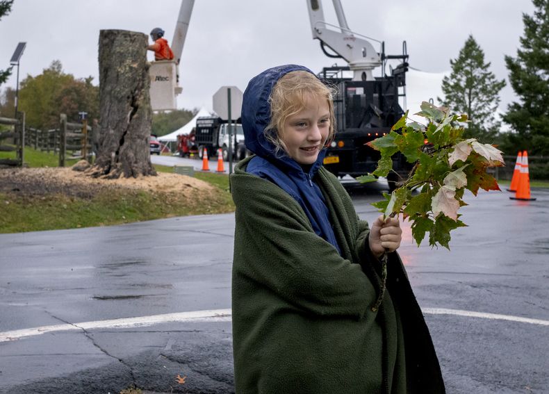 Fiona Kane, de 8 años, de Yulan, Nueva York, sostiene una rama del Árbol de los Mensajes, un árbol del legendario festival Woodstock de 1969 utilizado por los asistentes al concierto como una especie de tablero de mensajes, talado el miércoles 25 de septiembre de 2024 en Bethel Woods Center for the Arts en Bethel, Nueva York, sede del histórico festival de arte y conciertos de 1969. (Foto AP/Craig Ruttle)