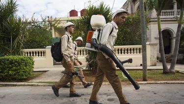 americateve | REP-MED_ZIKA-CUBA-4.jpg