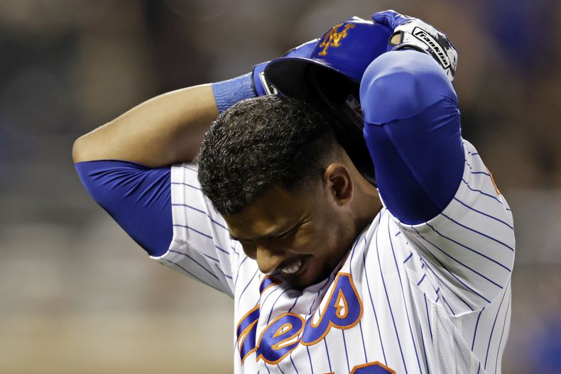 DEP-BEI CACHORROS-METS
