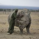 ONU: Reportes prevén menos plantas y animales en la Tierra