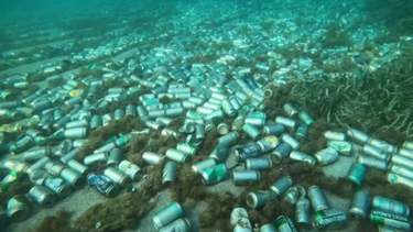 un cementerio de latas: asi luce el fondo marino en playa bacuranao