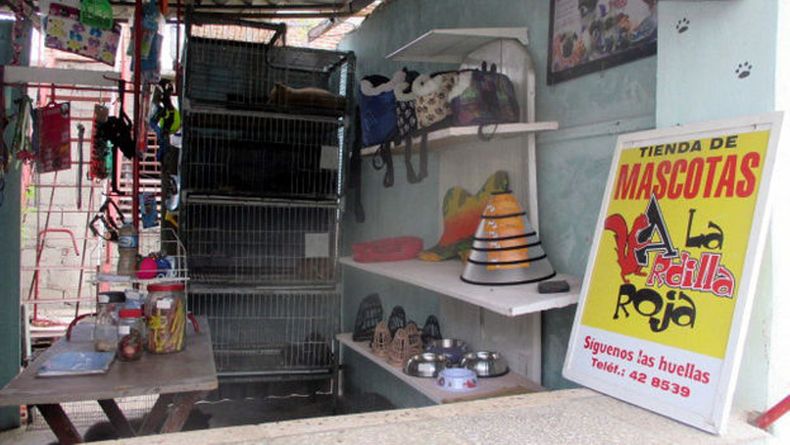 Tienda de mascotas La ardilla roja, abierta por inicitiva privada en la provincia de Holguín.