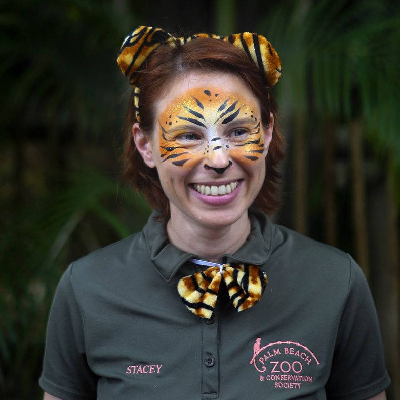 AMN-GEN_TIGRE_VENCE_A_MUJER-0.jpg