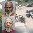 Descubren más de 500 gallos de pelea en Miami-Dade y arrestan a dos cubanos  por crueldad animal