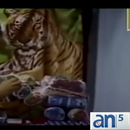 Aduana de Cuba publica caso de confiscación