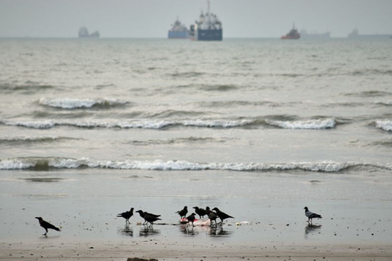Unas aves a la orilla de la playa y al fondo buques comerciales anclados en el estrecho de Ormuz, en las costas de Bandar Abbas, Irán, el miércoles 2 de septiembre de 2026. (Razieh Poudat/ISNA vía AP)