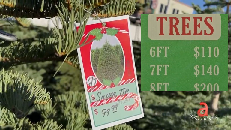 Precios de árboles y decoraciones navideñas se disparan durante esta temporada en Miami