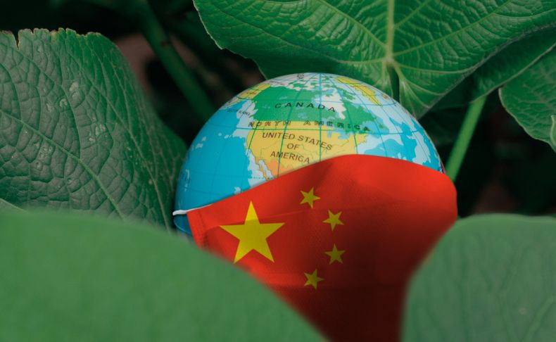 520x320 Articulo_Grupo verde China.jpg