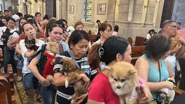 Personas en el evento de bendición de mascotas en Manila, Filipinas, el 4 de octubre del 2026. (AP foto/Joeal Calupitan)