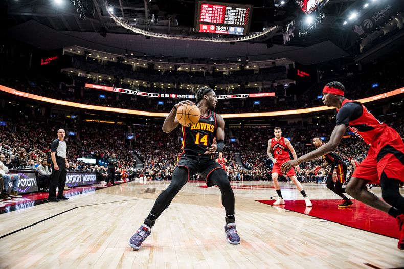 DEP-BAS HAWKS-RAPTORS