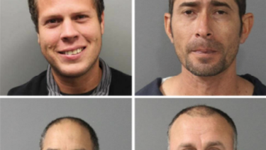 arrestados cuatro cubanos en eeuu que poseian 365 plantas de marihuana