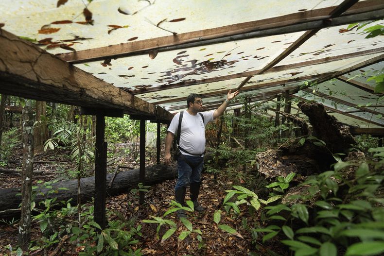 Joao de Athaydes, un meteorólogo, muestra los paneles de plástico que simulan los efectos de una sequía, en el proyecto Esecaflor, en el Bosque Nacional Caxiuana, estado de Pará, Brasil, el 20 de marzo del 2025. (AP foto/Jorge Saenz)