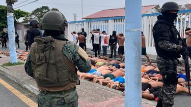Ecuador registra 3.387 detenidos en quince días de estado de excepción, 237 por terrorismo