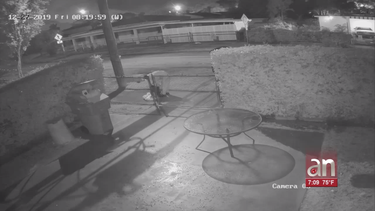 Buscan a joven por robar dentro de vehículos en una zona residencial de Miami