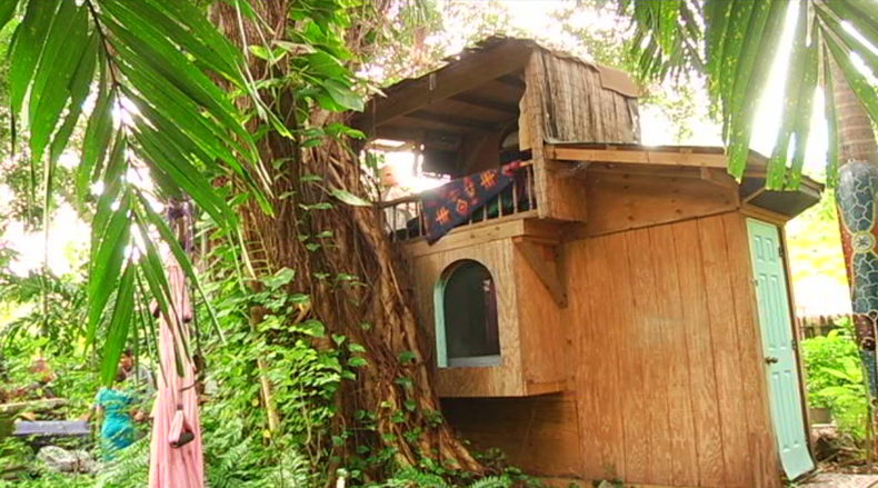 casa en un arbol.png