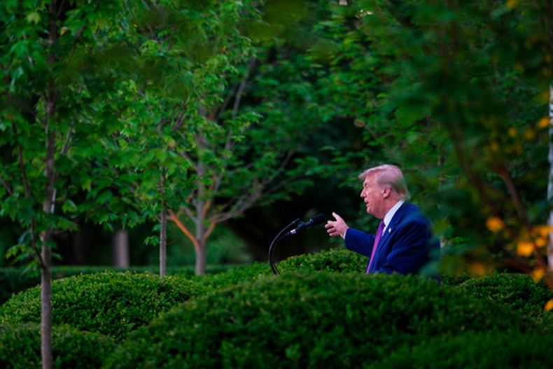 El presidente de Estados Unidos, Donald Trump, habla en una cena para miembros del gobierno y mandos de las fuerzas de seguridad durante la Semana Nacional de la Policía, en el Jardín de Rosas de la Casa Blanca, el 11 de mayo de 2026, en Washington. (AP Foto/Julia Demaree Nikhinson)