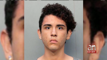 capturan a joven en el momento exacto que estaba robando en un carro en un mcdonalds de hialeah