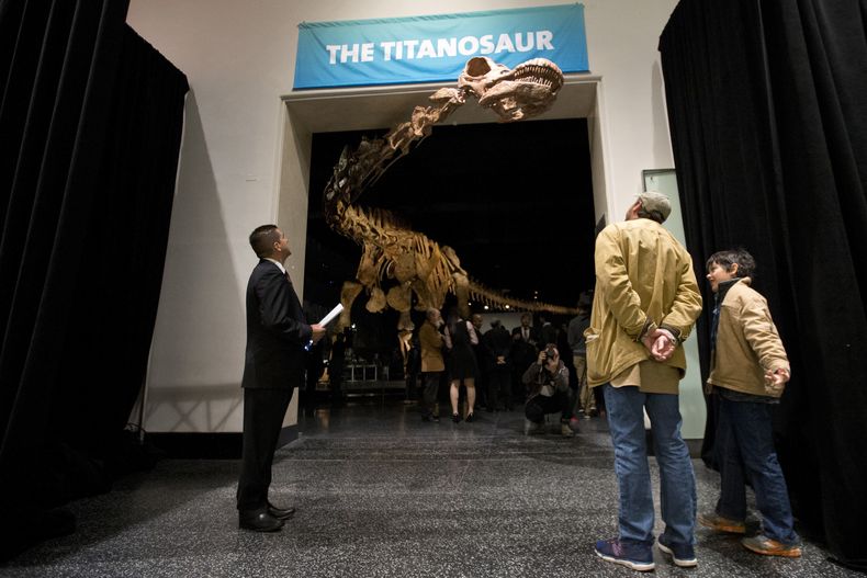 AMN-CIE_DINOSAURIO_MAS_GRANDE-0.jpg
