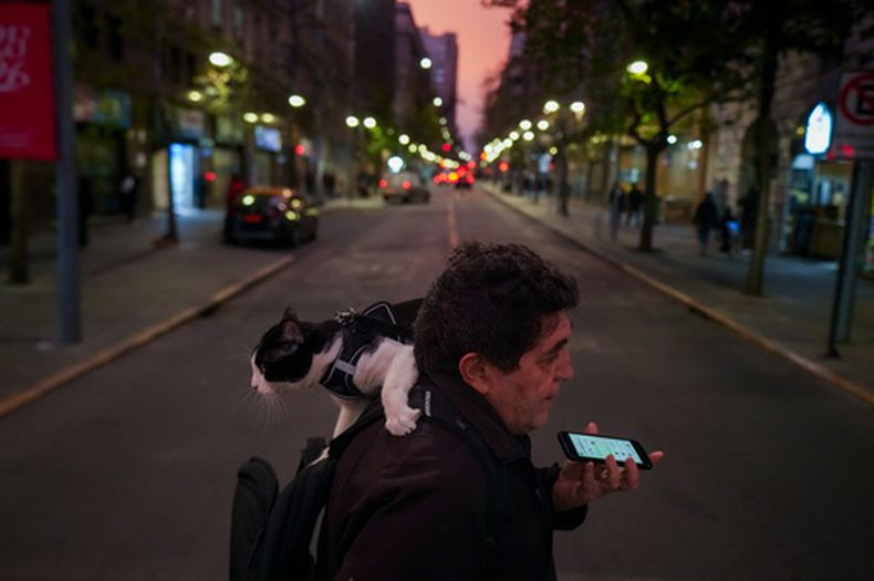 Sergio pasea con su gato Nilo, de un año de edad, por el centro de Santiago, Chile, el jueves 10 de septiembre de 2026. (Foto AP/Esteban Félix)