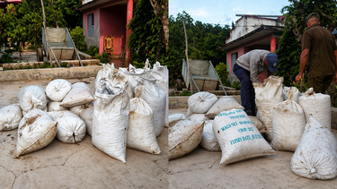 decomisan mas de 100 sacos de cafe en cuba: los ocultaban entre carbon en medio de la escasez