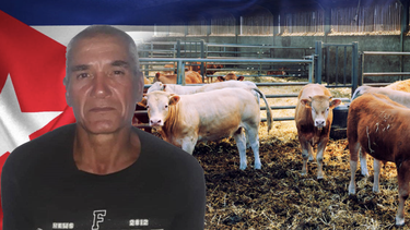 detenido en villa clara un presunto ladron de ganado que llevaba mas de un ano profugo