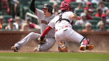 Wilmer Flores, izquierda, de los Gigantes de San Francisco, anota superando el toque del receptor de los Cardenales de San Luis, Andrew Knizner (7), durante la 10ma entrada del juego de béisbol el miércoles 14 de junio de 2023, en San Luis. Los Gigantes ganaron 8-5. (AP Foto/Jeff Roberson)