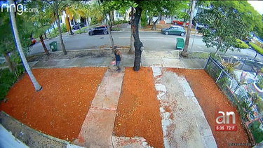 ladrones de paquetes ponen en peligro los regalos navidenos robando en residencias de miami