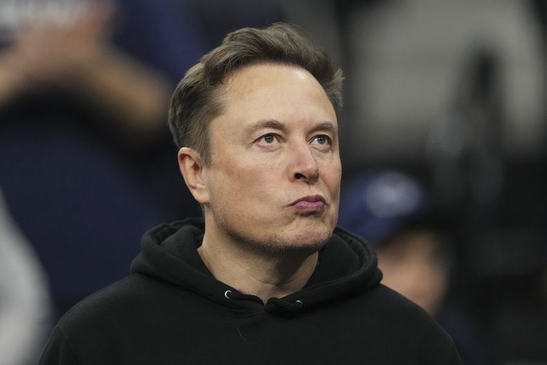 Elon Musk en un evento de lucha libre en Filadelfia el 22 de marzo del 2025. (AP foto/Matt Rourke)