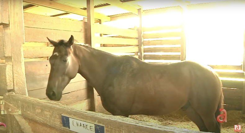 Screenshot 2023-08-15 at 11.29.40 AM.png