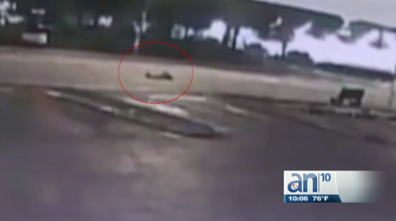 Screen Shot 2018-04-19 at 10.17.09 PM.png