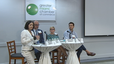 conferencia de prensa en miami aborda el tema del zika con profesionales medicos y representantes de las zonas afectadas