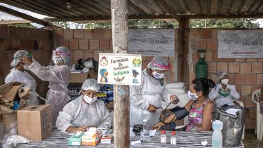 por que los cientificos estan muy preocupados por la variante covid de brasil