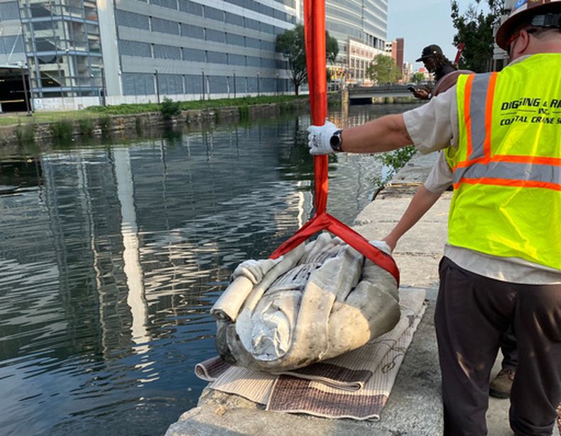 En esta foto, proporcionada por el republicano Nino Mangione, una estatua de Cristóbal Colón es colocada sobre el piso tras ser extraída del puerto interior de Baltimore, el 6 de julio de 2020, después de que manifestantes la arrojaran al agua. (Nino Mangione vía AP)