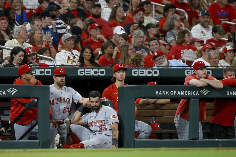Los Rojos de Cincinnati observan el juego del sábado 30 de septiembre de 2023, ante los Cardenales de San Luis, en el que quedaron oficialmente fuera de los playoffs (AP Foto/Scott Kane)