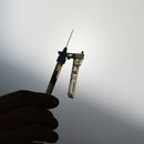 EEUU advierte sobre riesgos de plantas esterilizantes