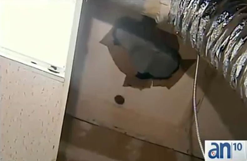 La Policía continúa investigando este caso en busca del responsable.