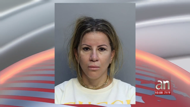 arrestan a mujer de miami por promover la prostitucion en salones de masajes