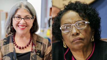 comision de miami-dade aprobo la creacion de un panel civil independiente que investigara  denuncias de racismo y abuso por parte de la policia