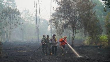 Bomberos rocían agua para apagar incendios en el bosque de Kubu Raya, Indonesia, el 12 de septiembre de 2026. (Foto AP/Archivo de Tatan Syuflana)